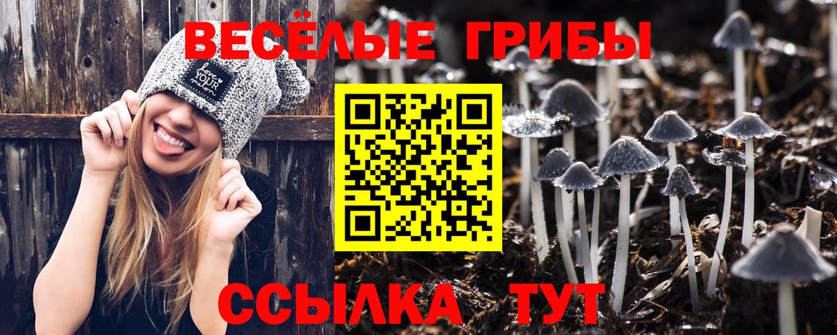 Псилоцибиновые грибы Psilocybine cubensis  Вход с VPN  купить наркотики сайты  Галлюциногенные грибы прущие грибы  Котовск 