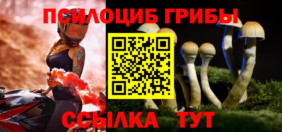 Галлюциногенные грибы Magic Shrooms Котовск